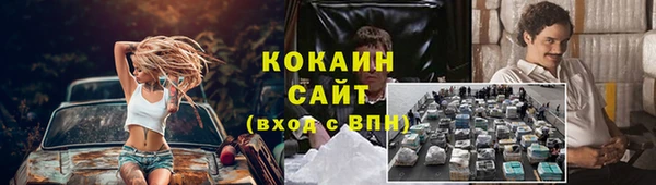 крисы Козловка