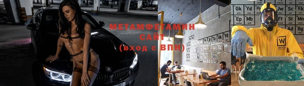 крисы Козловка