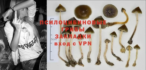 трава Козельск