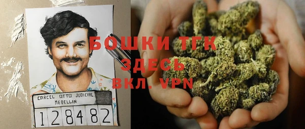 крисы Козловка