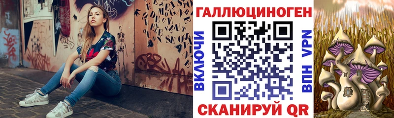 дарк нет как зайти  Куртамыш  Галлюциногенные грибы MAGIC MUSHROOMS  гидра онион 